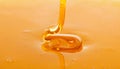 Macro of thick fresh honey dripping Royalty Free Stock Photo