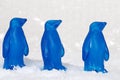 Macro three blue penguins