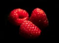 Macro three raspberries black background