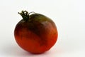 Macro of a tomato affected by blight disease, which is caused by bacterial or fungal infestations. Royalty Free Stock Photo