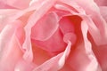Macro top view on a delicate petals of a pink rose flower Royalty Free Stock Photo