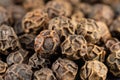 Macro of true edible spices and seeds: black peppercorn on a pile. black pepper - Piper nigrum