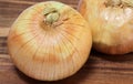 Macro of a Vidalia Onion or sweet onion, selective focus on top Royalty Free Stock Photo