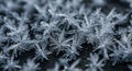Frozen ice crystals macro Royalty Free Stock Photo