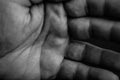 Macro view in black and white of a palm of a human male hand with lines and skin texture