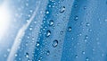 Macro view of clear water droplets on a blue textured surface Royalty Free Stock Photo