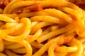 Macro view of the cooked spaghetti with vegetable sauce Royalty Free Stock Photo
