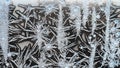 macro view of crystalline frost on window glass