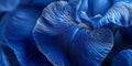 A macro view of deep blue iris petals, with a rich, velvety texture and intricate veining, Royalty Free Stock Photo