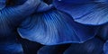 A macro view of deep blue iris petals, with a rich, velvety texture and intricate veining, Royalty Free Stock Photo