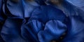 A macro view of deep blue iris petals, with a rich, velvety texture and intricate veining, Royalty Free Stock Photo
