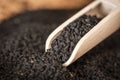 Macro view of dried seeds of black cumin seeds kalinji on wooden spoon. Close up shot with selective focus Royalty Free Stock Photo