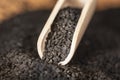 Macro view of dried seeds of black cumin seeds kalinji on wooden spoon. Close up shot with selective focus Royalty Free Stock Photo