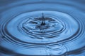 Macro view of falling drops on blue water surface isolated on background Royalty Free Stock Photo