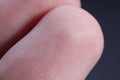 Macro view of finger with friction ridges Royalty Free Stock Photo