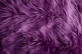 Macro View of Fluffy Purple Fur Texture
