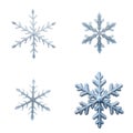 Macro view of four frozen snowflakes. Details of ice crystal structures. Abstract winter design. Frozen beauty. Ideal for winter