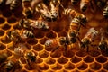 Macro view of honeybees working diligently inside their hive, meticulously crafting honeycomb cells filled with glistening.