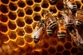 Macro view of honeybees working diligently inside their hive, meticulously crafting honeycomb cells filled with glistening.