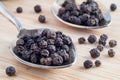 Macro view on the kitchen spices in an old metal spoons Royalty Free Stock Photo