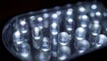Macro view of lit LED lamps of a portable flashlight in perspective