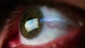 Macro view. Man's eye with reflectio of news from screen that man reads and scrolls.