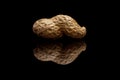 Macro view of the one whole peanut isolated on black background Royalty Free Stock Photo
