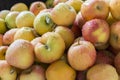 Macro view of organic apples in local market of Ezine town in Ca