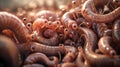 Macro view of a parasitic helminth. Intestinal parasite, parasitic worm. Concept of medical research, parasite life