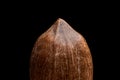 Macro view on pecan nut isolated on black background