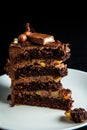 macro view piece of chocolate cake served on on white plate