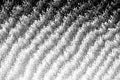 Macro View of Pixelated Halftone Gradient with Jagged Pattern Royalty Free Stock Photo