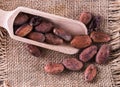 Macro view of raw cacao beans over canvas background Royalty Free Stock Photo