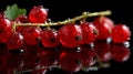 A macro view of red currants on the stem, their translucent skins glowing and Royalty Free Stock Photo