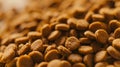 Macro view of round brown dry pet kibble