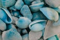 Macro view of seashells. Seashell background. Texture of blue seashells. Royalty Free Stock Photo
