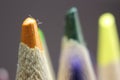 Macro view of the tip of the pencil on a black background Royalty Free Stock Photo