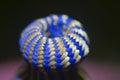 Macro view of torus shape woven in golden and blue threads, India.