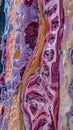 Macro view of urinary bladder wall with vibrant patterns resembling cells, textures under microscope Royalty Free Stock Photo