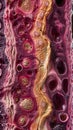 Macro view of urinary bladder wall with vibrant patterns resembling cells, textures under microscope Royalty Free Stock Photo