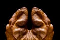 Macro view on walnut on black background Royalty Free Stock Photo