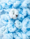 Macro View of White Cotton Fluff with Light Blue Cotton Background Close Up Royalty Free Stock Photo