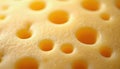 Macro view of yellow emmental cheese texture with many holes. Closeup of cheese surface with round holes and bumpy texture. Royalty Free Stock Photo