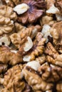 Macro walnut background Royalty Free Stock Photo