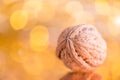 Macro walnut on a shiny gold background Royalty Free Stock Photo