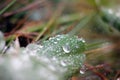 Macro waterdrop Royalty Free Stock Photo