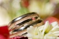 macro wedding rings