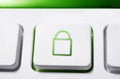 Macro Of A White Button With Green Closed Security Lock Icon