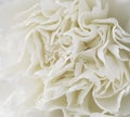 Macro white carnation flower background