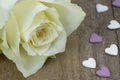 Macro of a white rose on a wooden surface Royalty Free Stock Photo